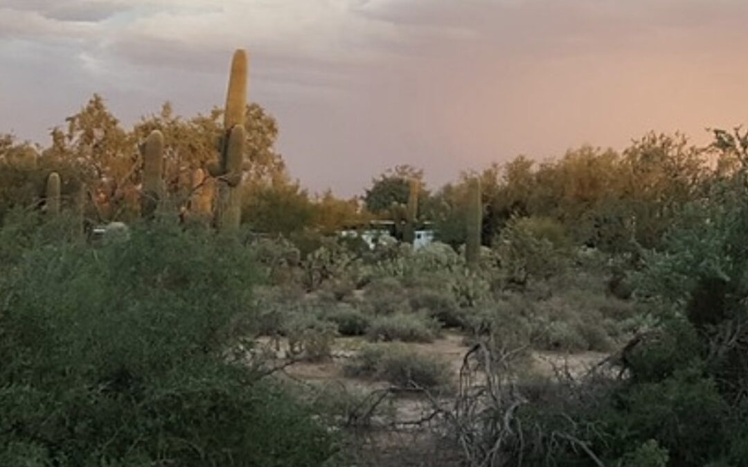 Superior Mayor Presents at the National Trails Workshop Hosted in Tucson