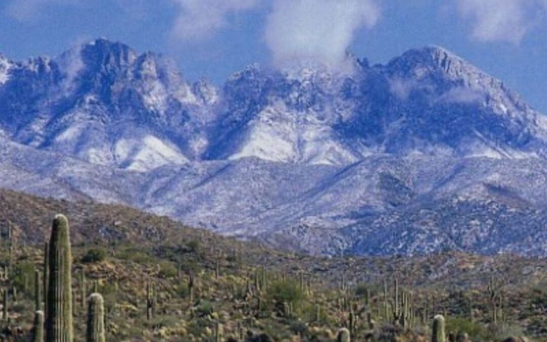 BLM Land Protections for Tonto National Forest Near Superior